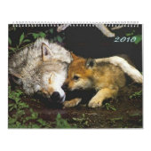 Mural Loups avec petits 2010 Calendrier (Protection)