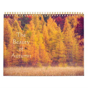 Mural Magnifique, coloré calendrier photo d'automne