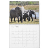 Mural Magnifiques Eléphants Calendrier 2016 (Mar 2026)