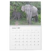 Mural Magnifiques Eléphants Calendrier 2016 (Jan 2027)