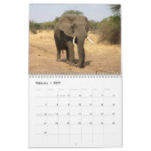 Mural Magnifiques Eléphants Calendrier 2016 (Feb 2027)