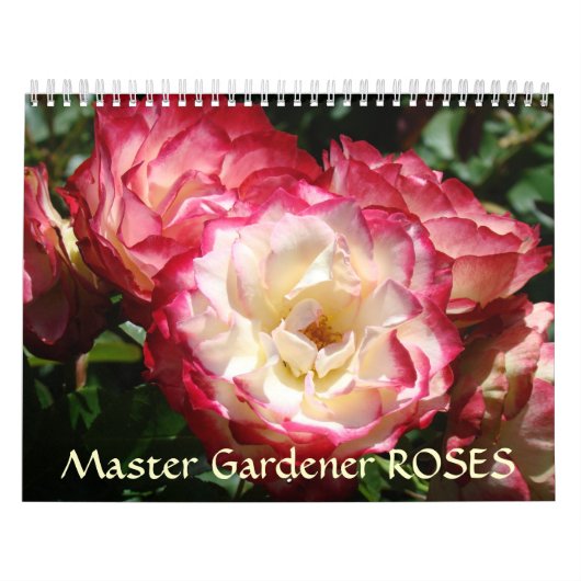 Mural MASTER GARDENERS Calendrier ROSE Fleurs Roses (Protection)