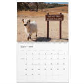 Mural Moochi le mini calendrier de la vache 2018 (Mar 2026)