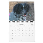 Mural Notre Pack Calendrier 2012, Petit (Feb 2027)