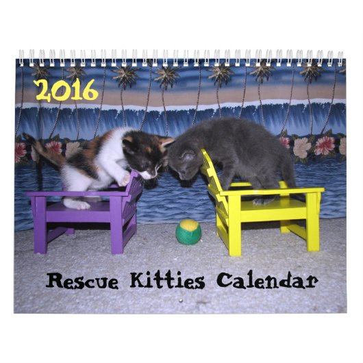 Mural *****NOUVEAU pour 2016 ! ! ! ***** Calendrier Seco (Protection)