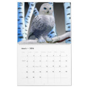 MURAL OISEAUX #1 DE CALENDRIER (Mar 2026)