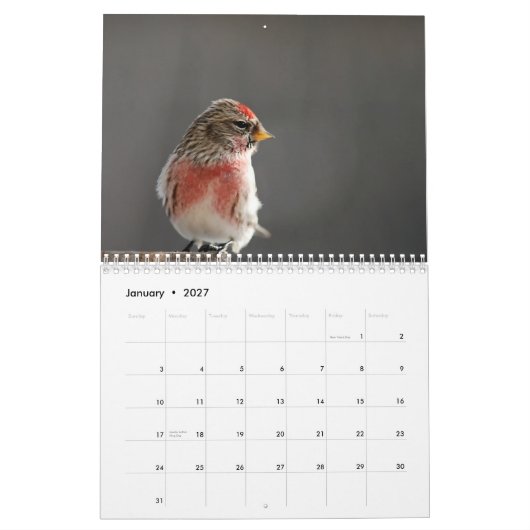 Mural Oiseaux dans le calendrier de l'hiver 2015 (Jan 2027)