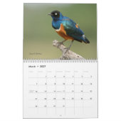 Mural Oiseaux de calendrier de la Tanzanie (Mar 2027)