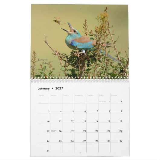 Mural Oiseaux de calendrier de la Tanzanie (Jan 2027)