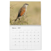 Mural Oiseaux de calendrier de la Tanzanie (Feb 2027)