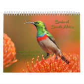 Mural Oiseaux de calendrier de l'Afrique du Sud (Protection)