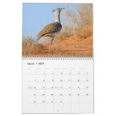 Mural Oiseaux de calendrier de l'Afrique du Sud (Mar 2027)