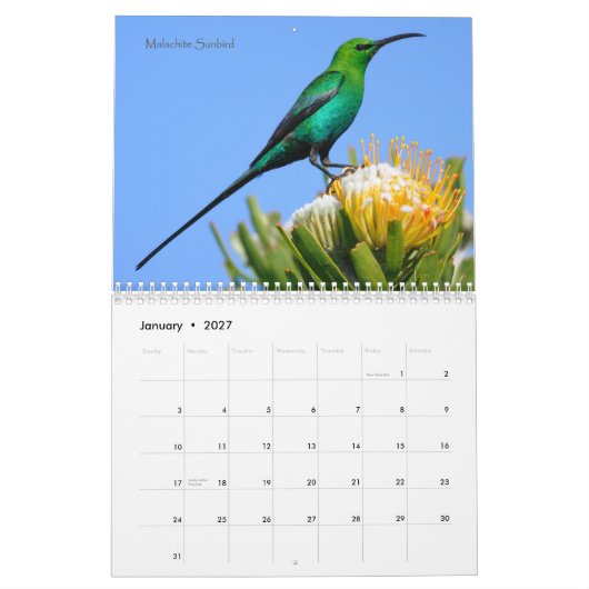 Mural Oiseaux de calendrier de l'Afrique du Sud (Jan 2027)