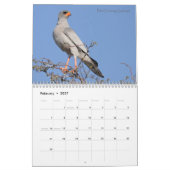 Mural Oiseaux de calendrier de l'Afrique du Sud (Feb 2027)