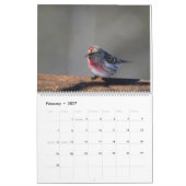 Mural Oiseaux du calendrier de Northwoods (Feb 2027)