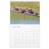 Mural Oiseaux Sauvages De L'Ohio Calendrier (Jan 2027)