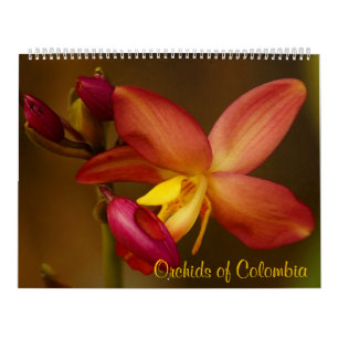Mural Orchidées du calendrier 2013 de la Colombie