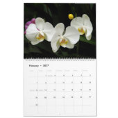 Mural Orchidées du calendrier 2013 de la Colombie (Feb 2027)