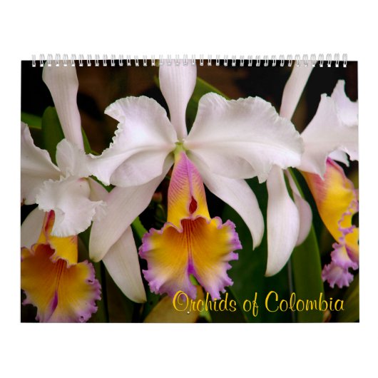 Mural Orchidées du calendrier 2013 de la Colombie (Protection)