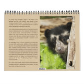 Mural Ours andins 2012 - calendrier 15 mois (Dos)
