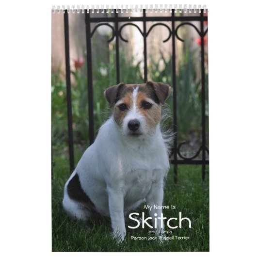 Mural Parson Jack Russell Terrier Chien Calendrier par J (Protection)