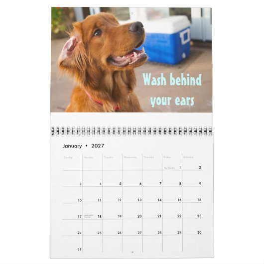 Mural Pawcurious Calendrier 2011 (Jan 2027)