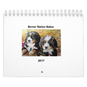 Mural Petit calendrier des bébés 2017 de nation de