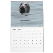 Mural Phoques du calendrier de Cape Cod (Mar 2027)