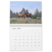 Mural Photographie par le calendrier de cheval sauvage (Jan 2027)