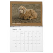 Mural Photos d'animaux - Calendrier de 12 mois (Feb 2027)
