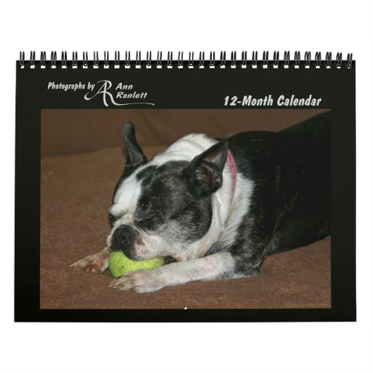 Mural Photos d'animaux - Calendrier de 12 mois (Protection)