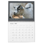 Mural Photos d'animaux - Calendrier de 12 mois (Jan 2027)