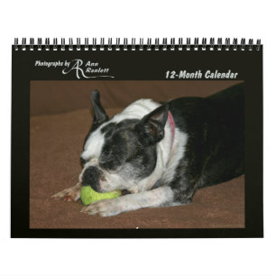 Mural Photos d'animaux - Calendrier de 12 mois