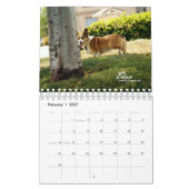 Mural Plus de mini calendrier de Corgis (avec des blogs) (Feb 2027)