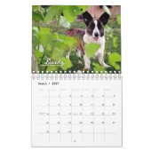 Mural Plus de mini calendrier de Corgis (avec des blogs) (Mar 2027)