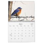 Mural Plus d'oiseaux dans votre calendrier 2013 de (Mar 2027)