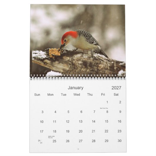 Mural Plus d'oiseaux dans votre calendrier 2013 de (Jan 2027)