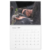 Mural POT OF GOLD Calendrier 2014 de la faune du Kenya ( (Jan 2027)