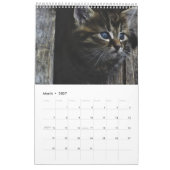 Mural Pour L'Amour Des Chats Calendrier (Mar 2027)