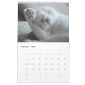 Mural Pour L'Amour Des Chats Calendrier (Feb 2027)