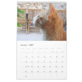 Mural Pour L'Amour Des Chats Calendrier (Jan 2027)