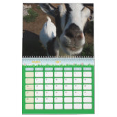 Mural Pour l'amour du calendrier de collecteurs de (Mar 2027)