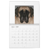 Mural Promo de calendrier (Mar 2027)