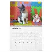 Mural Que dire du calendrier Bob Kitten - Encore Edition (Feb 2027)