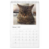 Mural Qui ed de *** de P outre de mon chat ? Calendrier (Feb 2027)
