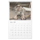 Mural Qui ed de *** de P outre de mon chat ? Calendrier (Mar 2027)