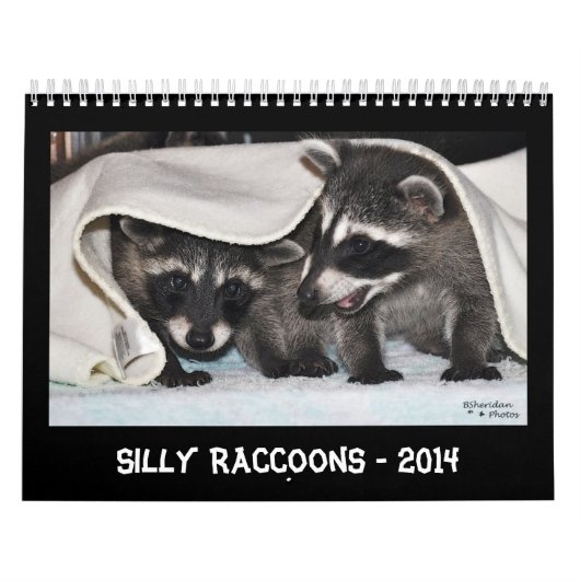 Mural Ratons laveurs idiots - calendrier 2014 (Protection)