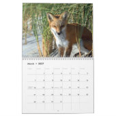 Mural Renards de calendrier de photo de plage de (Mar 2027)