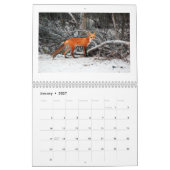 Mural Renards de calendrier de photo de plage de (Jan 2027)