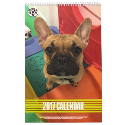 Mural RENIFLEZ le calendrier 2017 (Protection)
